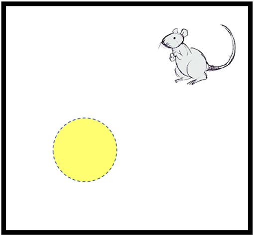 Figure 4 - Place cells are brain cells in the hippocampus that “wake up” and start sending electrical signals each time the animal passes through a certain location in the box.