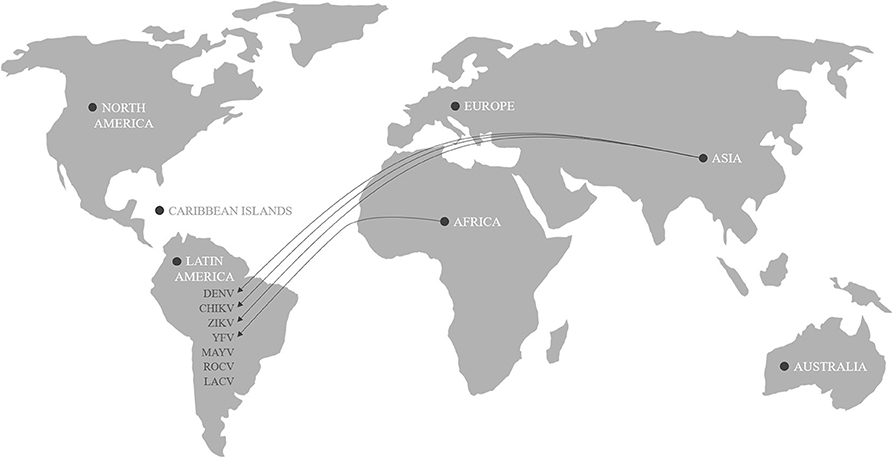 www.frontiersin.org