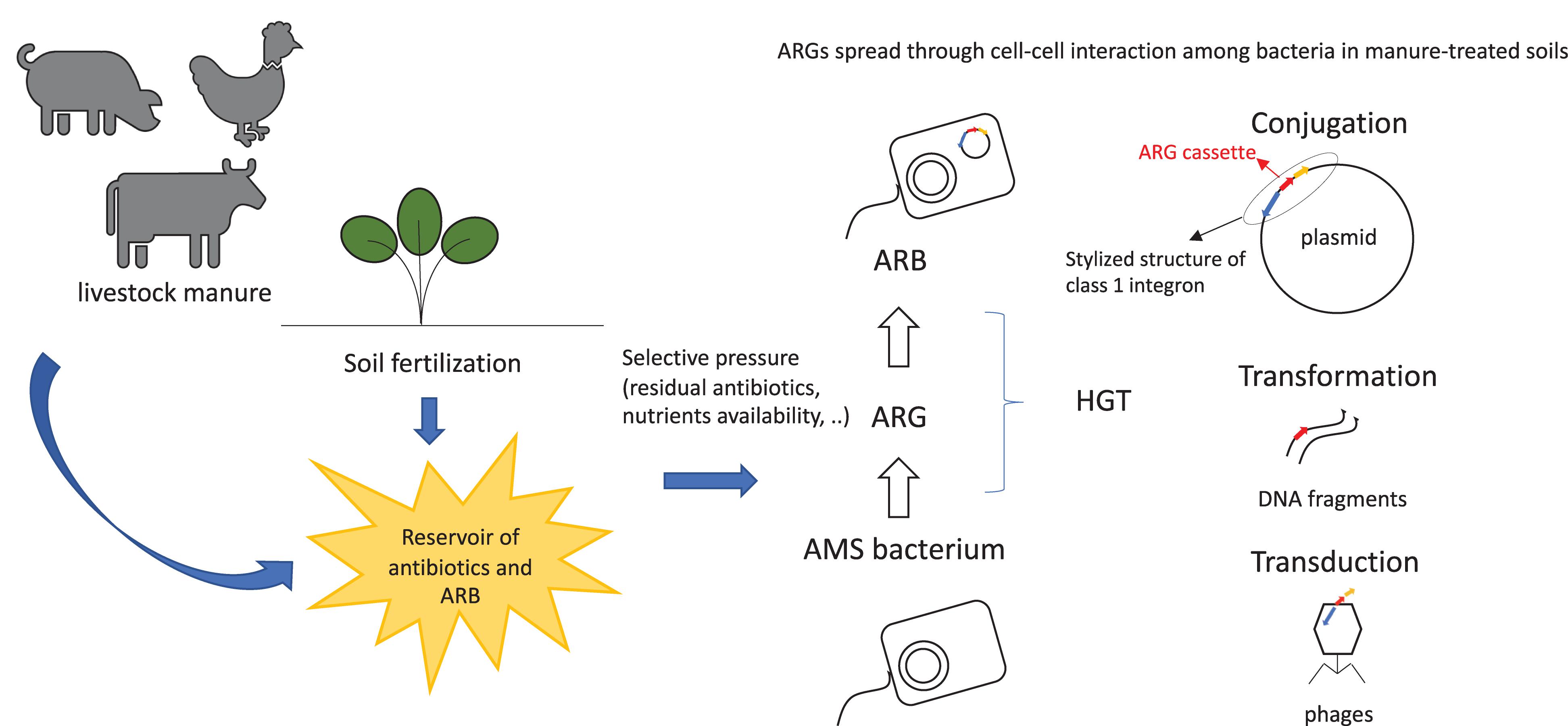 The Antibiotic Resistome: A Guide for the Discovery of Natural