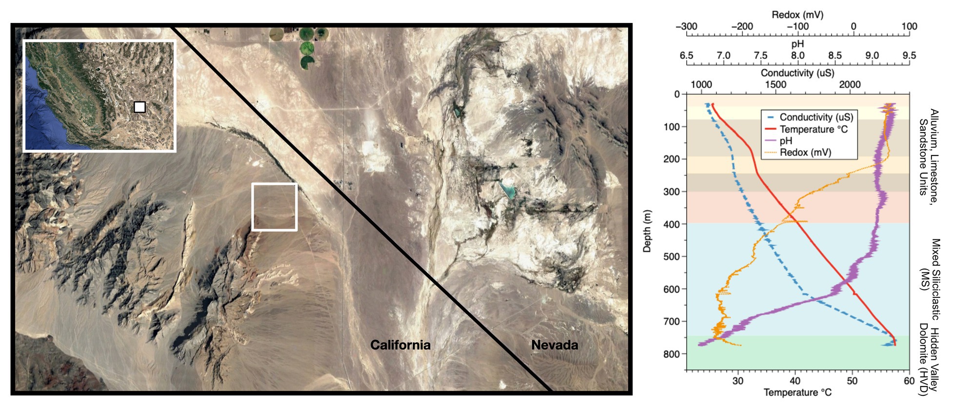 Frontiers  Patterns of in situ Mineral Colonization by Microorganisms in a  ~60°C Deep Continental Subsurface Aquifer