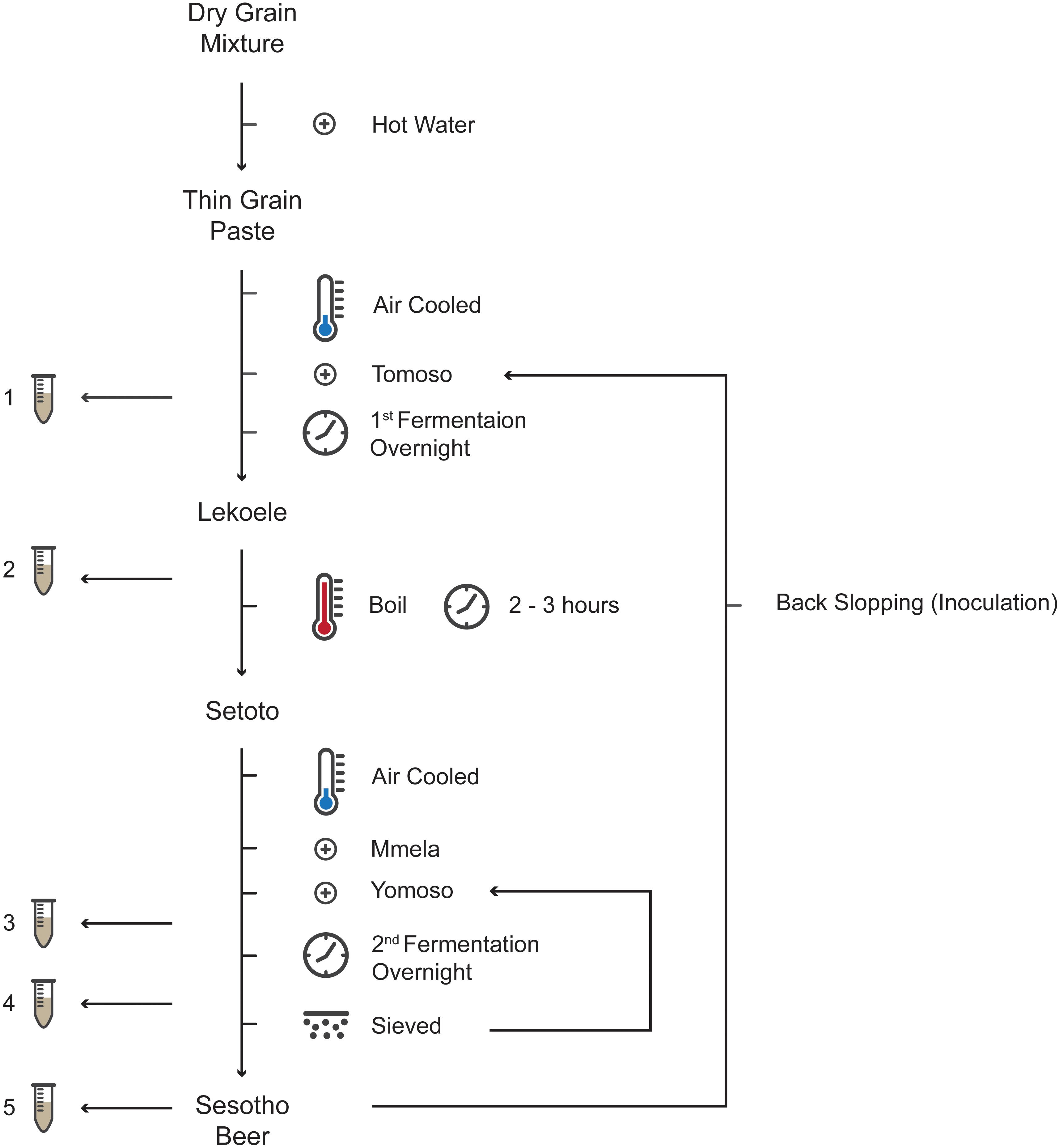 fermentation process research paper