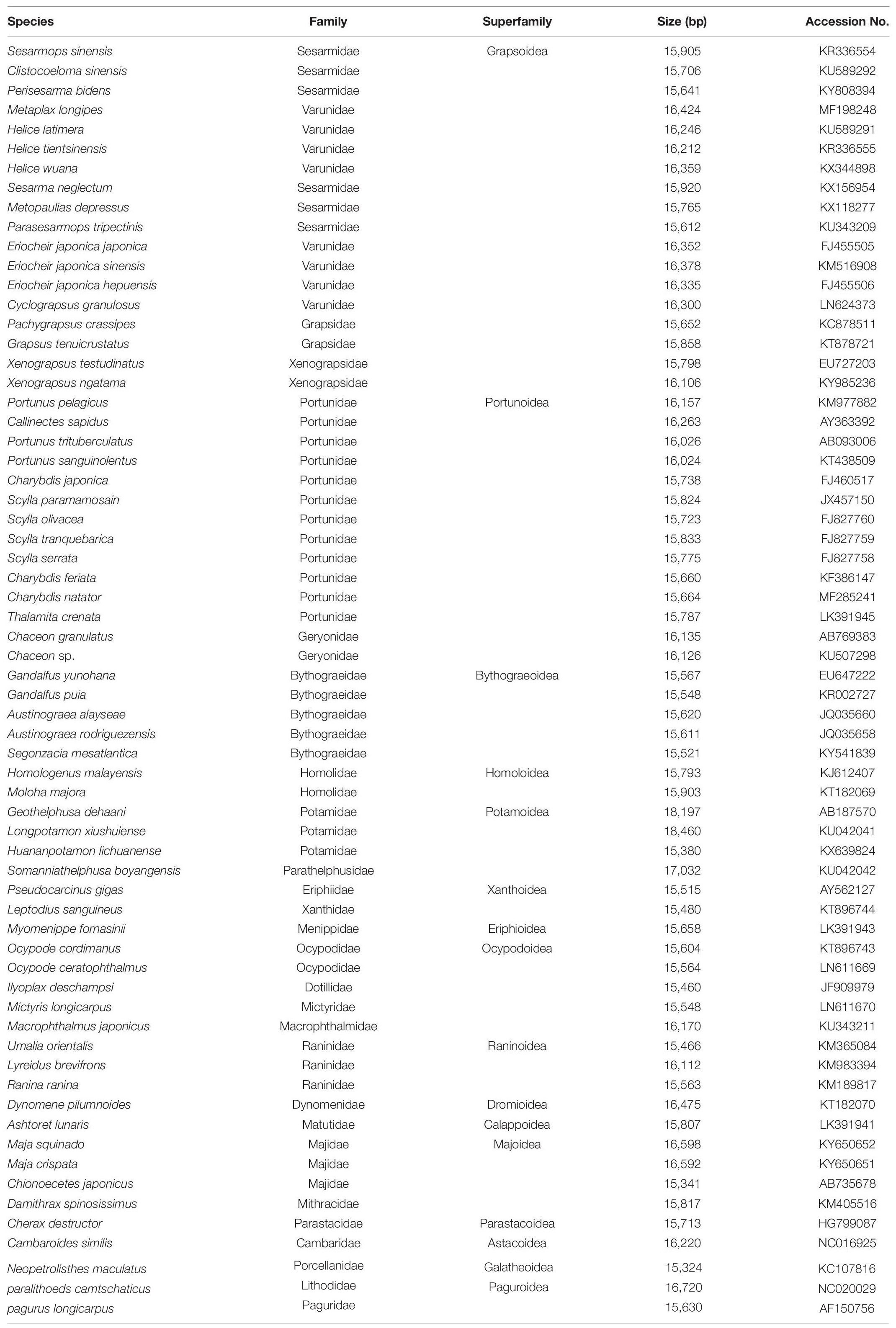 Frontiers | Comparative Mitochondrial Genome Analyses of Sesarmid 
