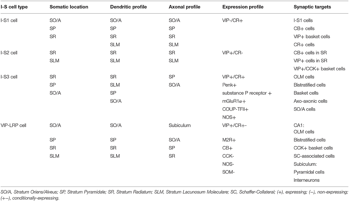 Frontiers Common Principles In Functional Organization Of Vip Calretinin Cell Driven Disinhibitory Circuits Across Cortical Areas Frontiers In Neural Circuits