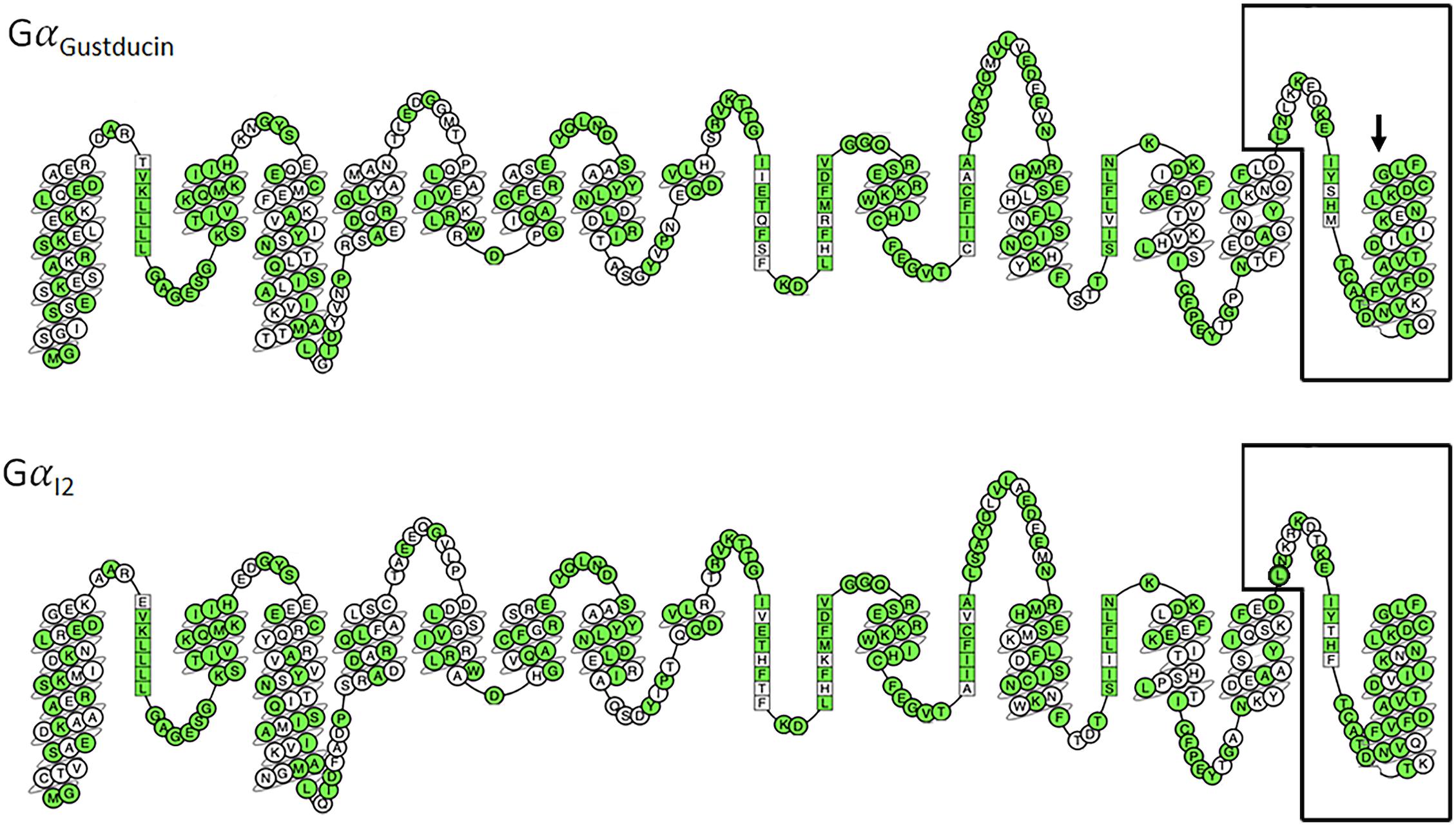 www.frontiersin.org