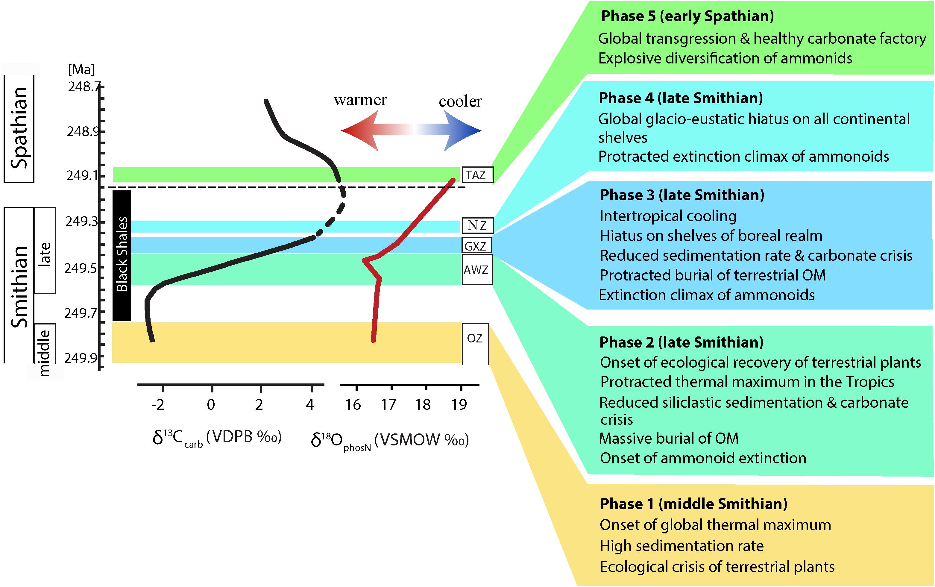 carbon isotope excursion meaning