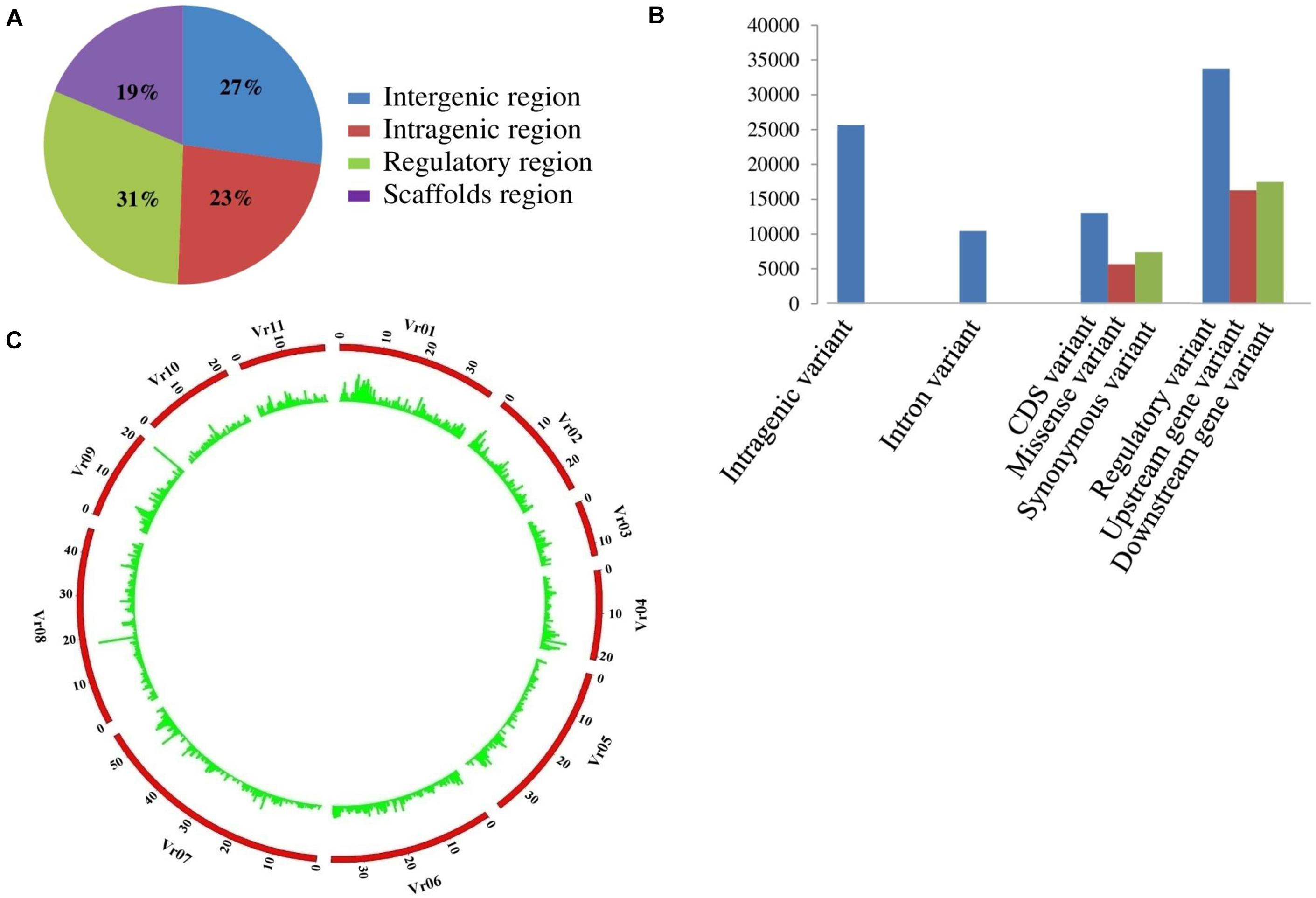 Frontiers | Genome-Wide Association Analysis for Phosphorus