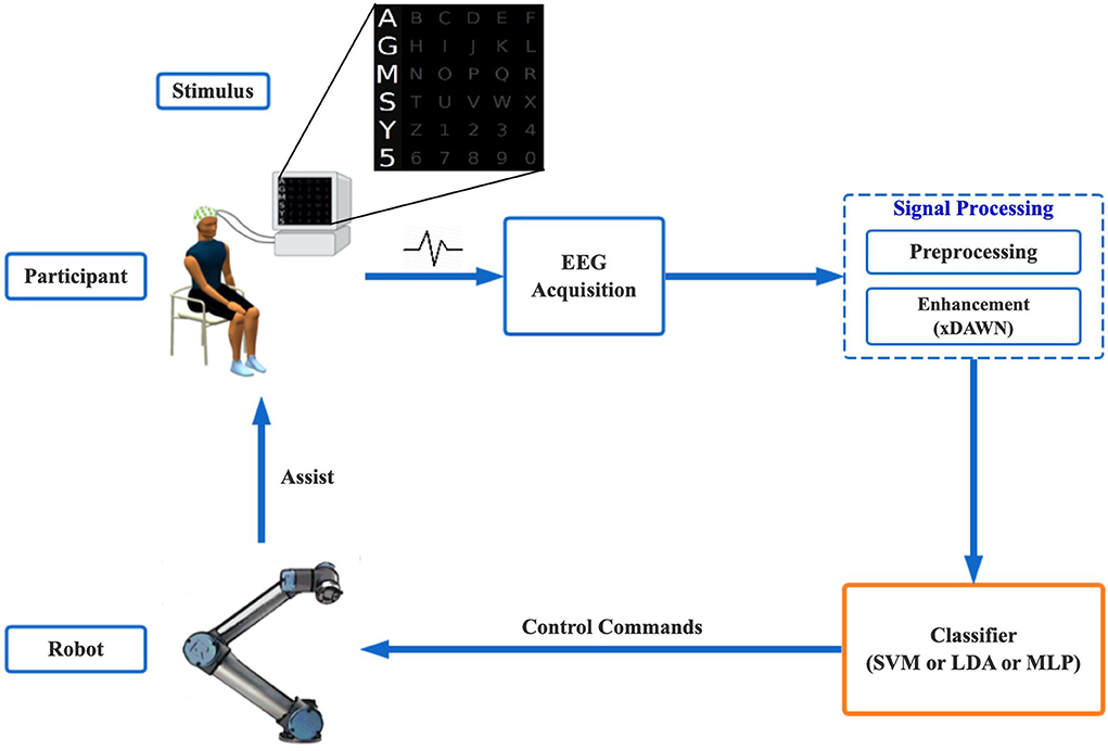 Frontiers A Practical Eeg Based Human Machine Interface To Online Control An Upper Limb Assist Robot Frontiers In Neurorobotics