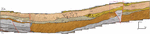 www.frontiersin.org