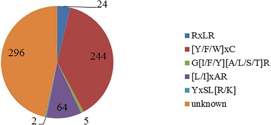 Frontiers Predicating The Effector Proteins Secreted By Puccinia Triticina Through Transcriptomic Analysis And Multiple Prediction Approaches Microbiology