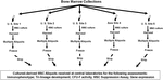 Frontiers | Human Mesenchymal Stromal Cell (MSC) Characteristics Vary ...