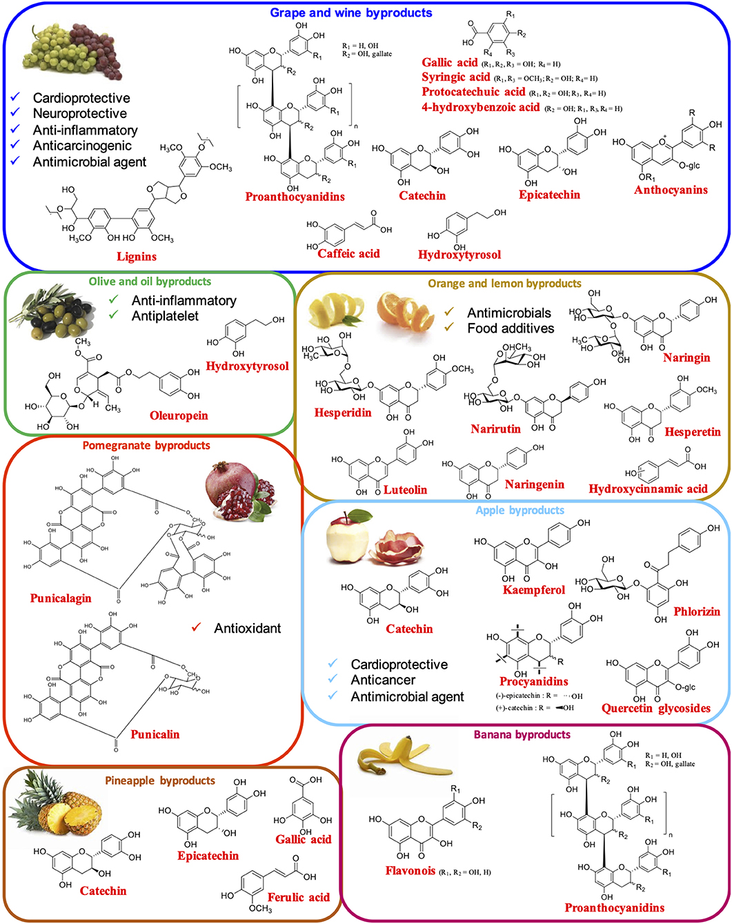 Retention time of phenolic compounds standards analysed by HPLC