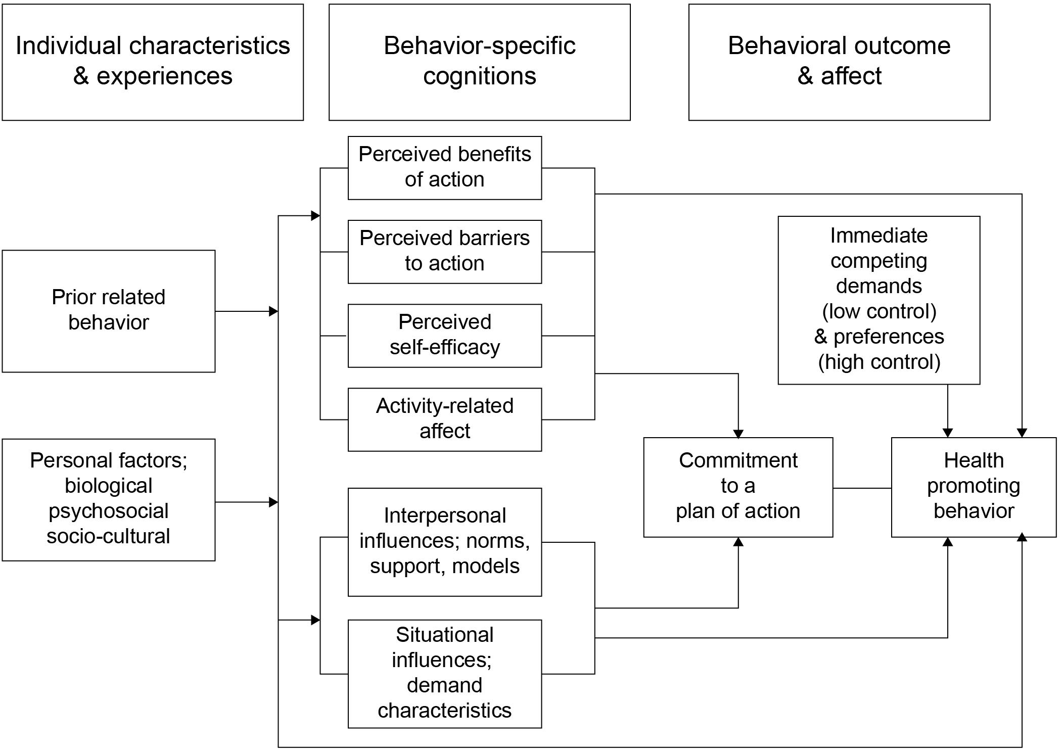 pender health promotion model example