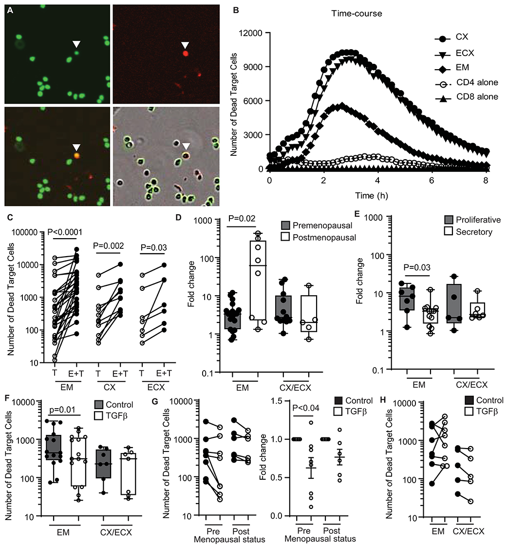 Frontiers | Differential Function Resident and Non-resident Cells in the Human Female Reproductive Tract Before and After Menopause