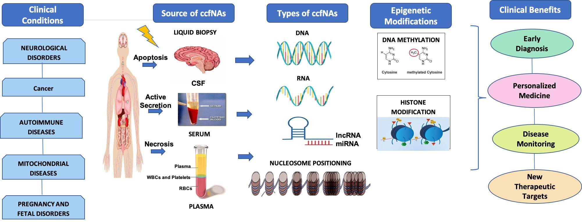 Disease Diagnosis Based on Nucleic Acid Modifications