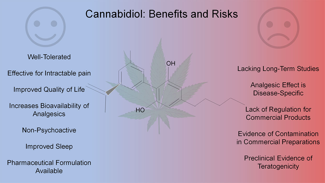 Pharmacological Uses And Legality Of Cannabidiol 