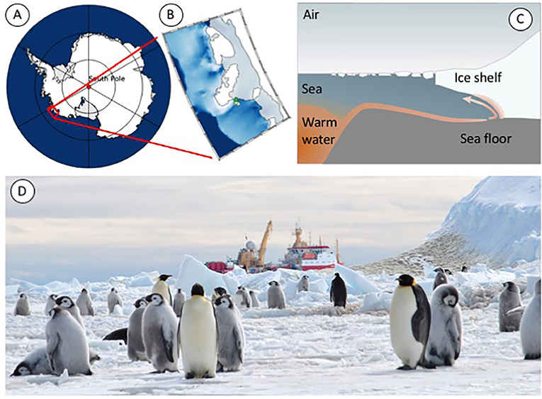 Figure 1 - (A) A map of Antarctica and the region we are specifically interested in (red box).