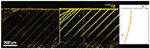 www.frontiersin.org