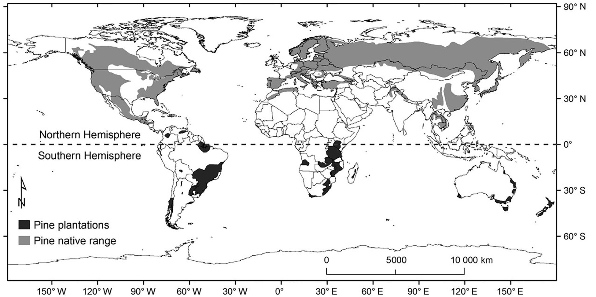 Frontiers  Ectomycorrhizal Plant-Fungal Co-invasions as Natural