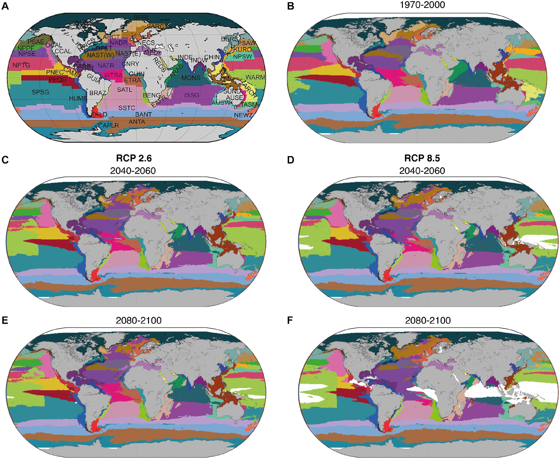 Species richness by biogeographical area and provinces