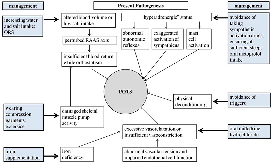 Frontiers  Postural Tachycardia Syndrome in Children and Adolescents:  Pathophysiology and Clinical Management