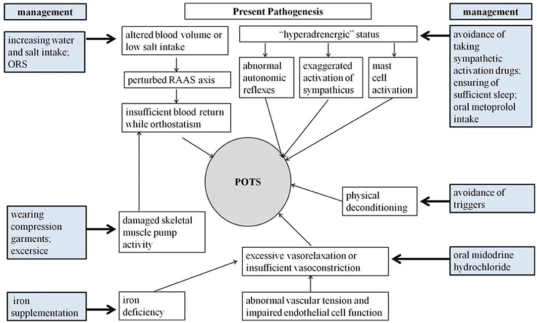 Postural orthostatic tachycardia syndrome (POTS) results in a sustained  increase in heart rate of at least 30 beats per minute in adults