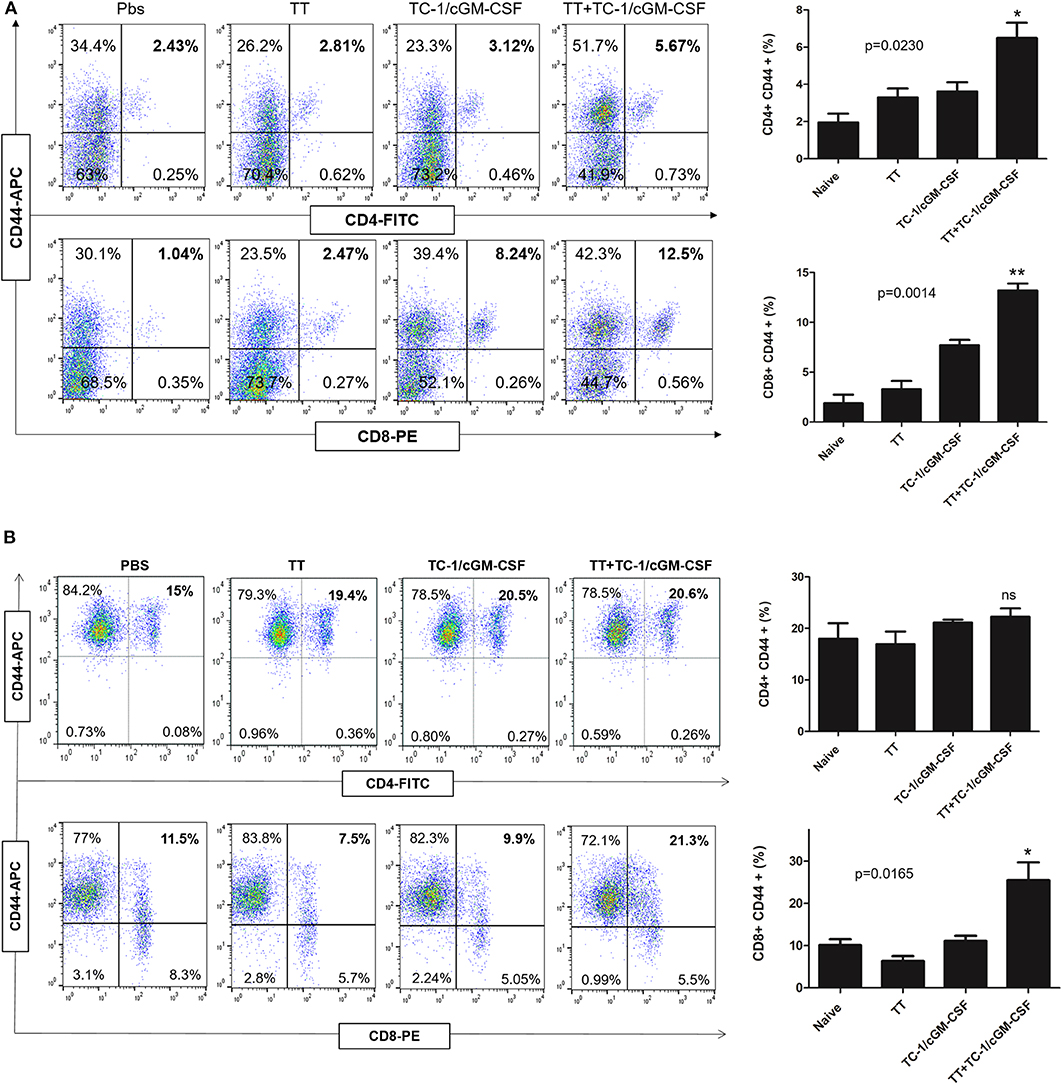 Frontiers | Combination Vaccination With Tetanus Toxoid and Enhanced ...