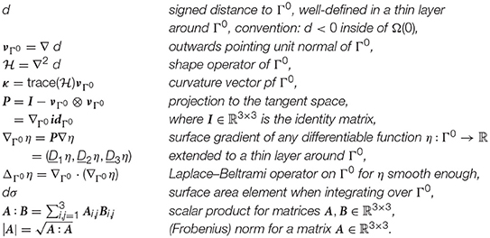Frontiers A Finite Element Method For A Fourth Order Surface Equation With Application To The Onset Of Cell Blebbing Applied Mathematics And Statistics