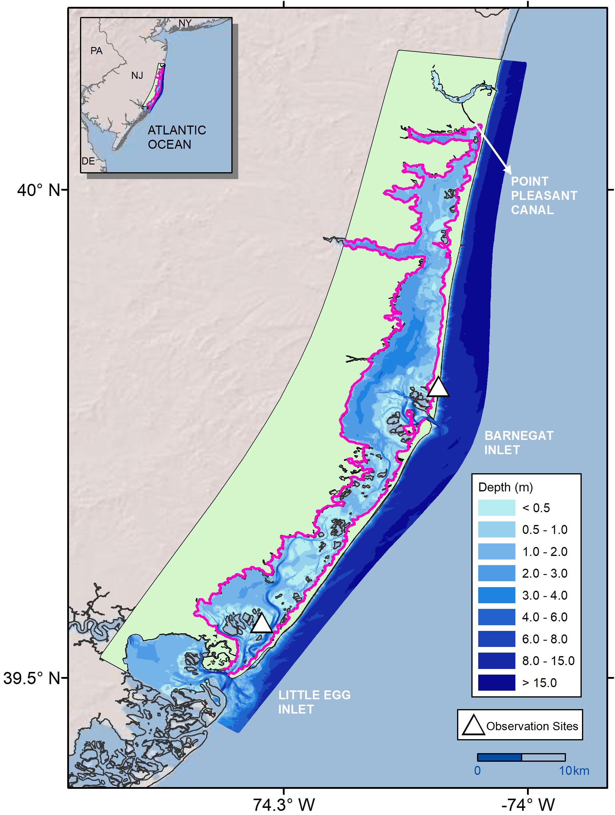 Integrative plant responses: How seagrasses adjust to light - Research  Outreach