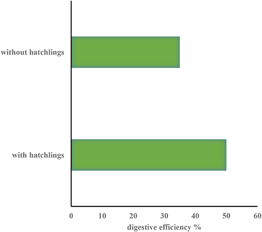 Figure 3 - Differences in percentages of digestive efficiency between individuals with hatchlings and those without in the season following the study.