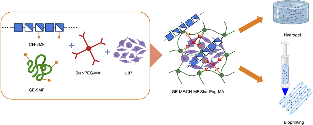 Hybrid Membranes Development Made by Chitosan and Calcium