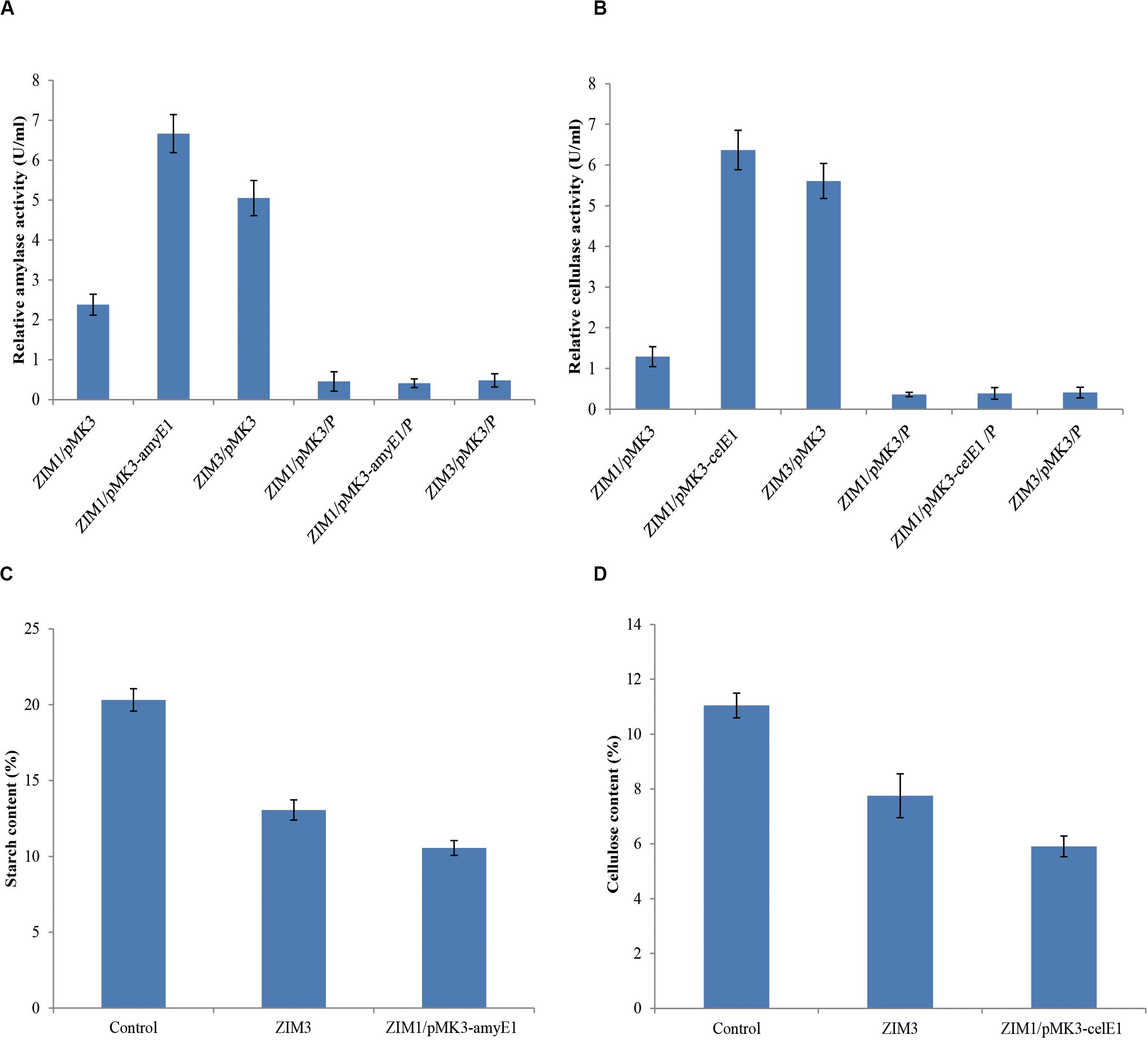 Frontiers | Production of Highly Active Extracellular Amylase and ...