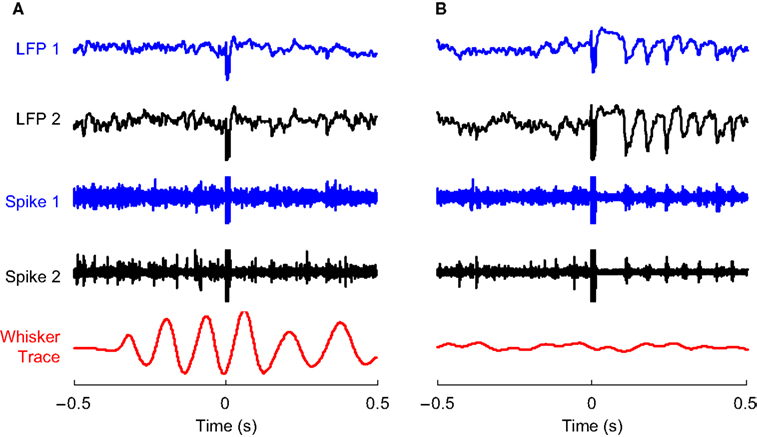 Frontiers | Behavioral modulation of stimulus-evoked oscillations in ...