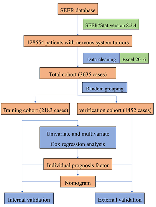 mesothelioma and gene expression