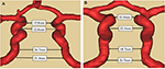 www.frontiersin.org