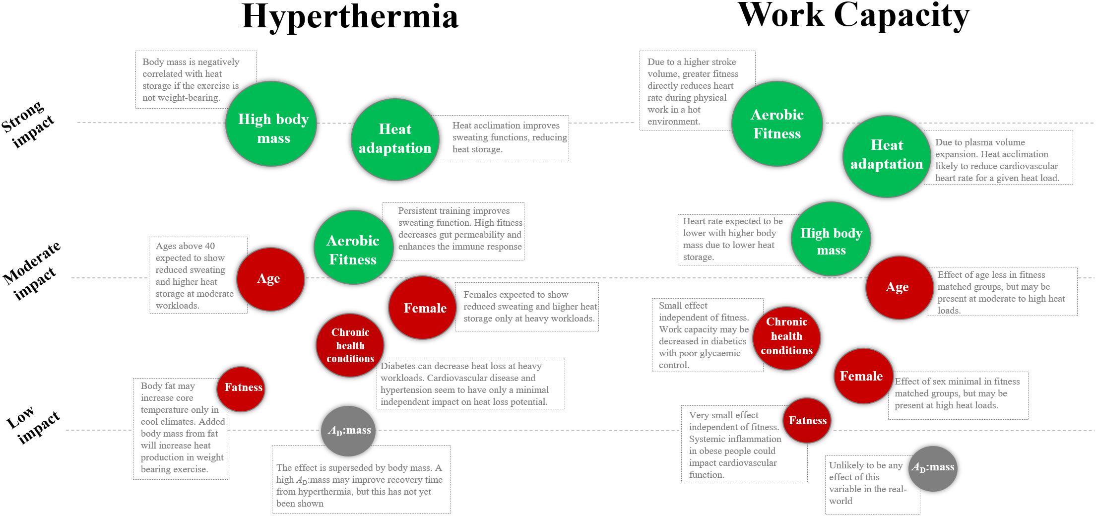 Frontiers | Individual Responses to Heat Stress: Implications for Hyperthermia and Physical Capacity | Physiology