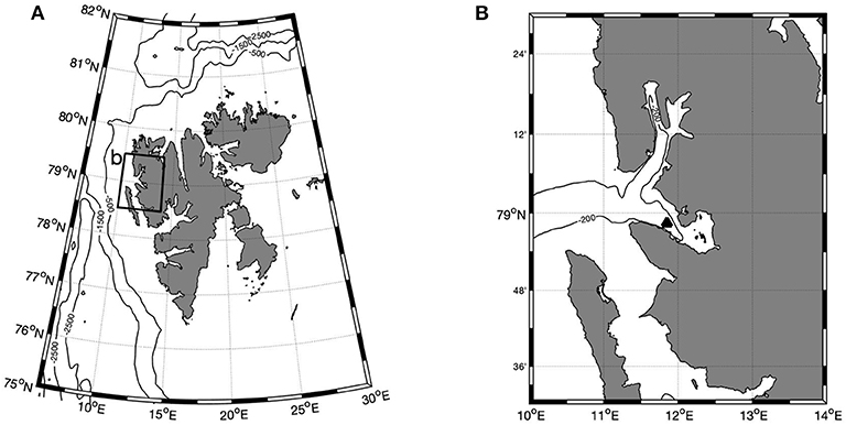 Frontiers Eat Or Sleep Availability Of Winter Prey Explains Mid Winter And Spring Activity In An Arctic Calanus Population Marine Science