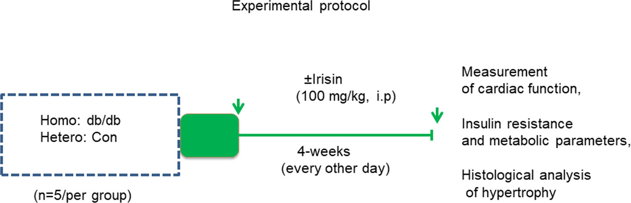 www.frontiersin.org