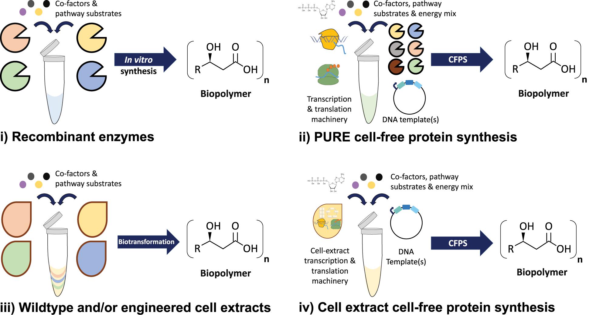 Bioengineering, Free Full-Text