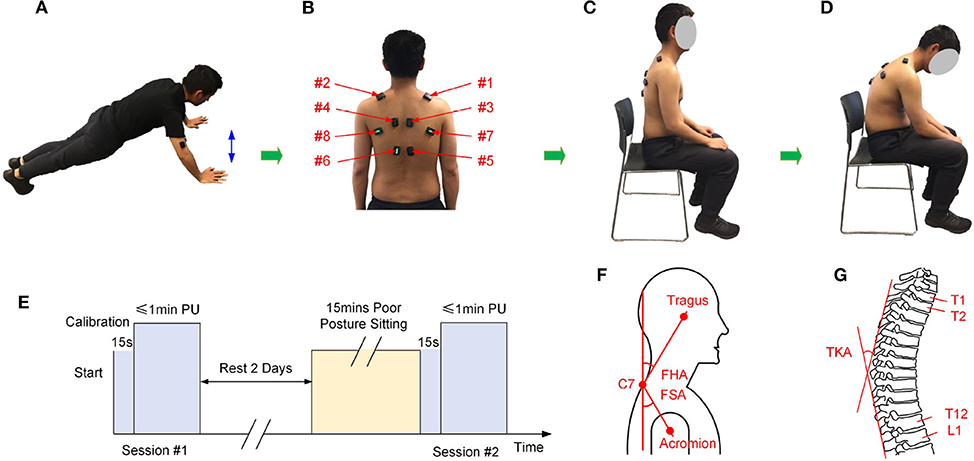 Measurement for upper body posture. A: forward head angle (FHA)