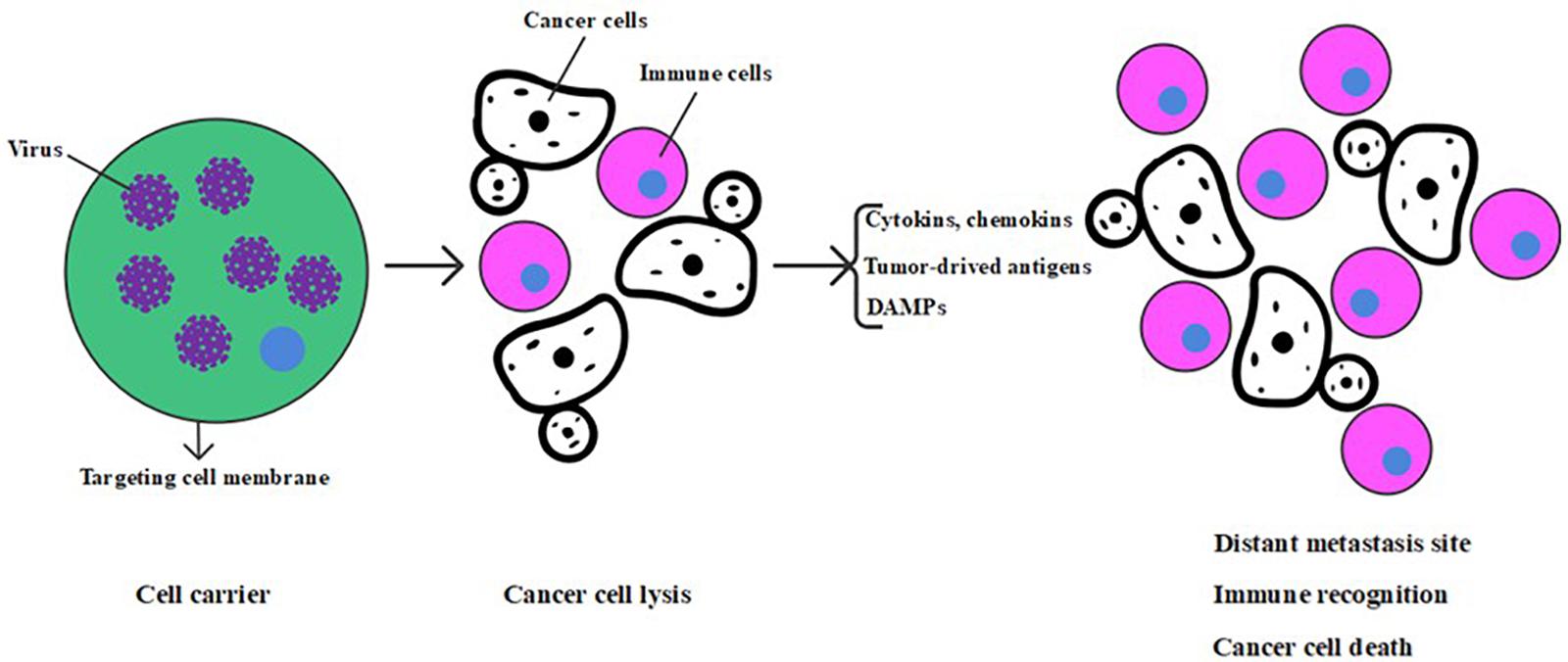 mesothelioma carcinoid tumor
