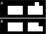 www.frontiersin.org