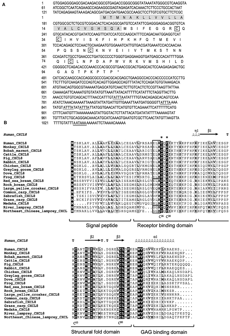 Sequence alignment of the C-and A-sheet domains of the lamprey LV