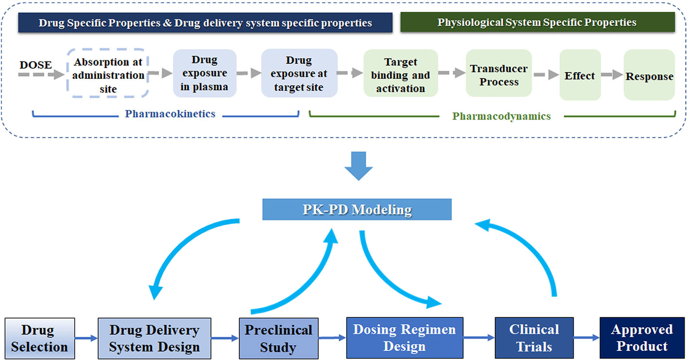 Frontiers | Application of Pharmacokinetic-Pharmacodynamic Modeling in Drug  Delivery: Development and Challenges