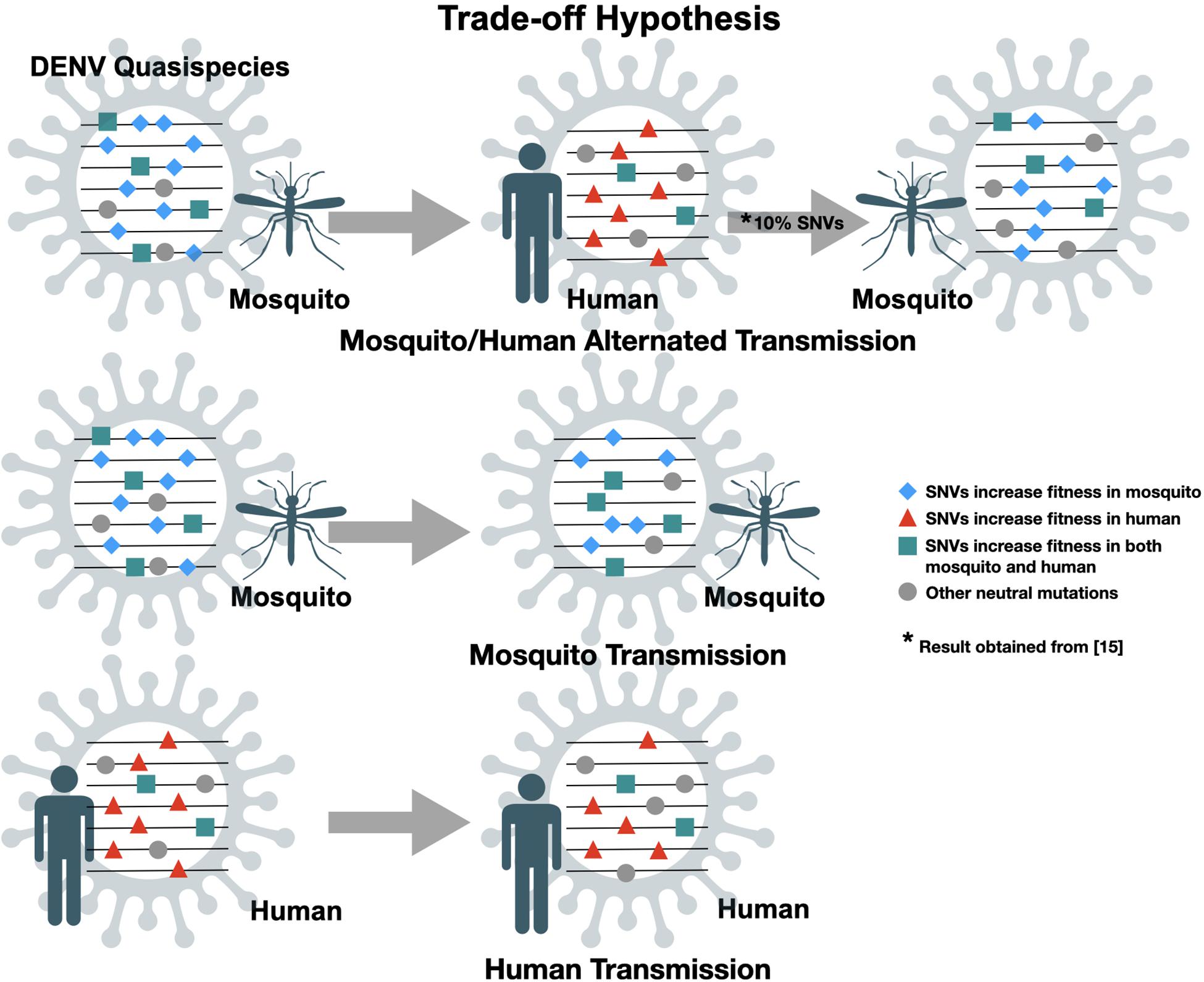 Session 2: Expanding Frontiers of Genomic Medicine Enabled by  Cost-Effective Next Generation Sequencing