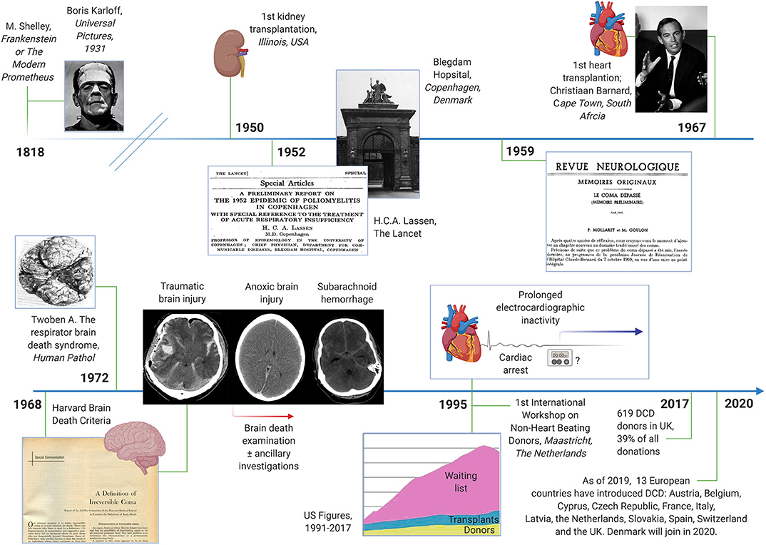 Frontiers | The Neurology of Death and the Dying Brain: A Pictorial Essay