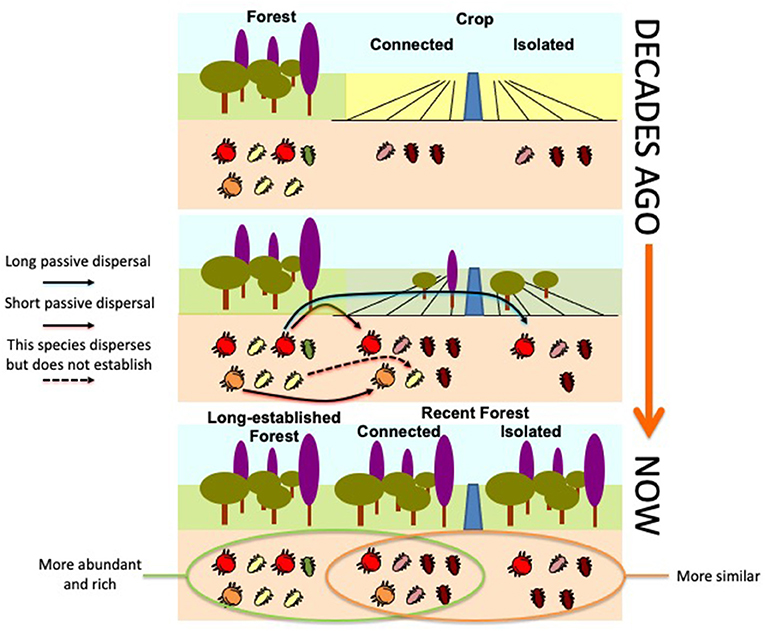 Figure 3 - Ecosystems change and grow over time.