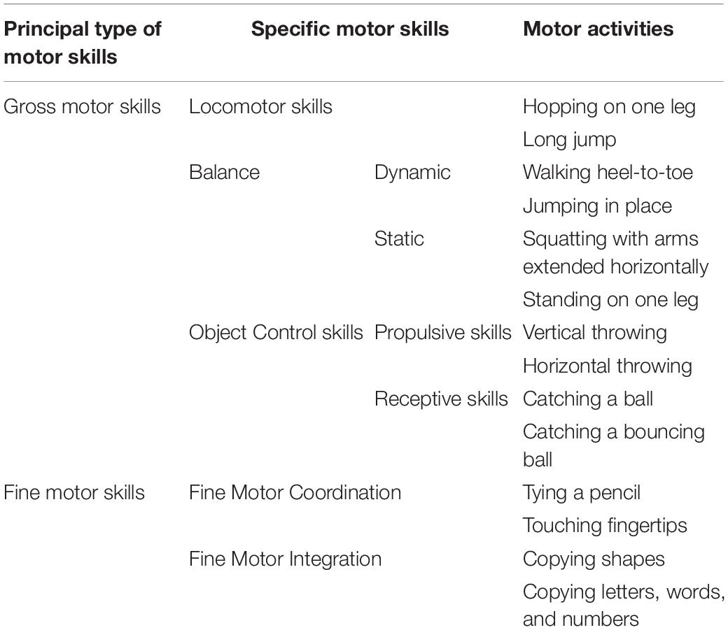 Frontiers Association Between Preschoolers Specific Fine But Not Gross Motor Skills And Later Academic Competencies Educational Implications Psychology