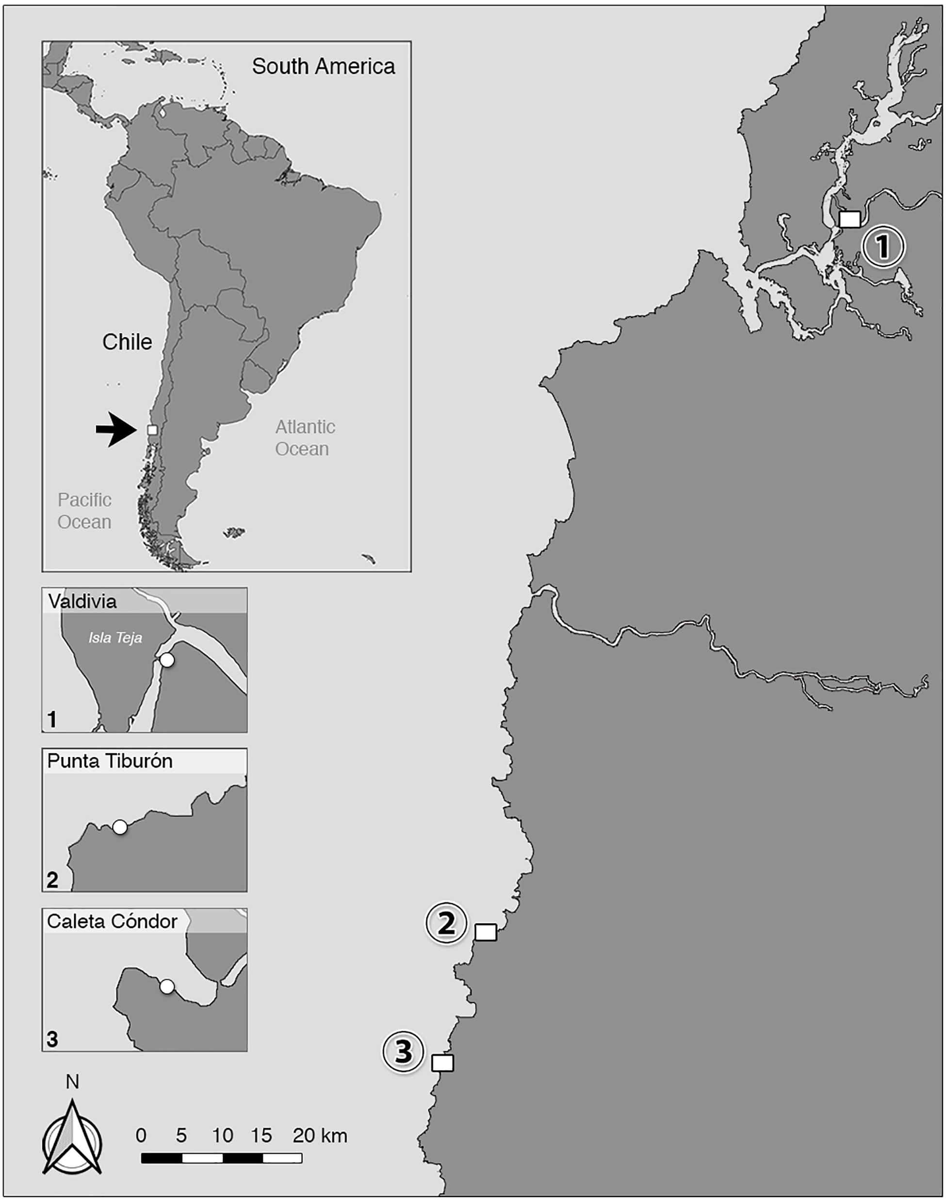 www.frontiersin.org