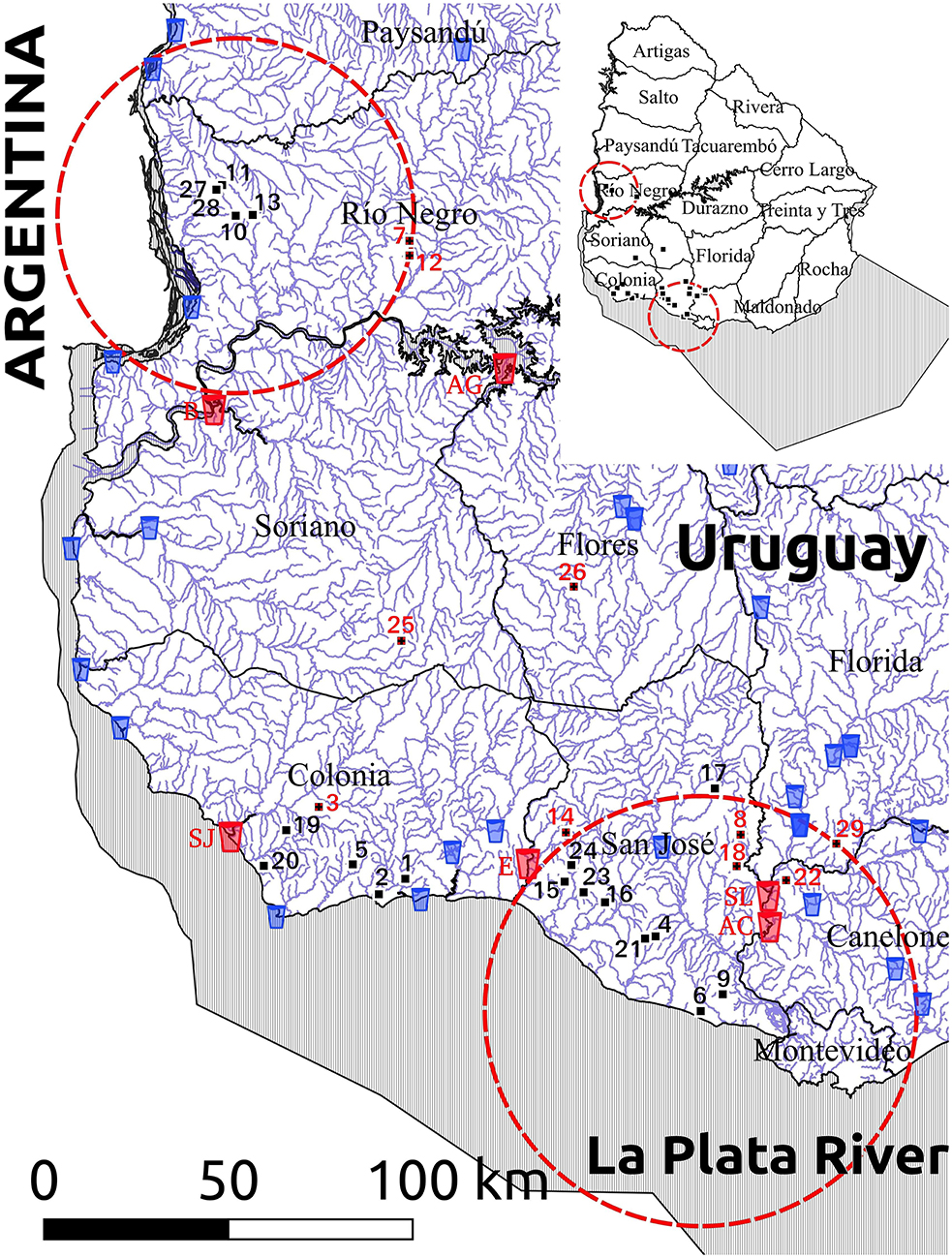 www.frontiersin.org