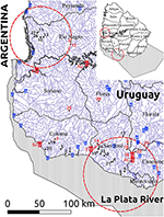 www.frontiersin.org